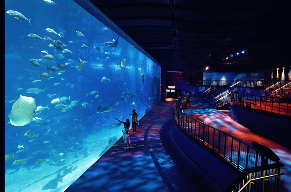 World Sentosa - Equarius Tempat peranginan